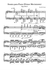 Sonata para Piano (Primer Movimiento) - Beautiful things